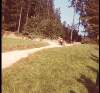Bild 0039.jpg